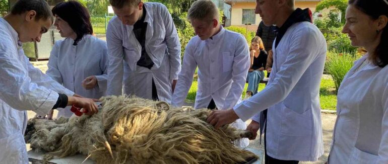 До Дня працівника ветеринарної медицини: як триває її розвиток на Закарпатті