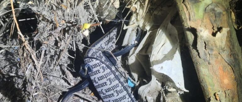 Мукачівські патрульні розшукали грабіжників, які викрали сумку у мукачівки