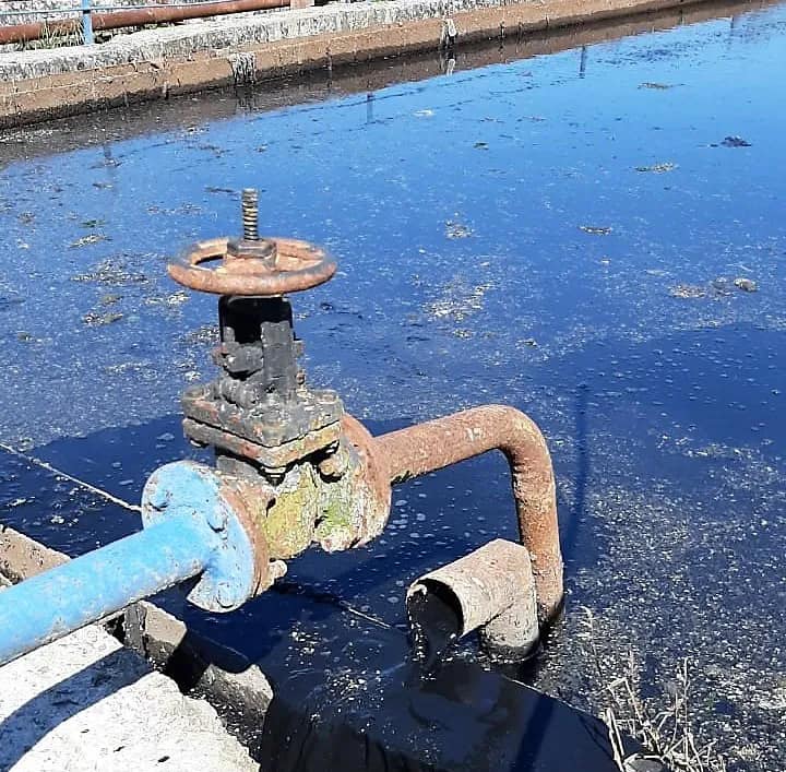 На Закарпатті в курортному містечку каналізаційні стоки забруднюють річки