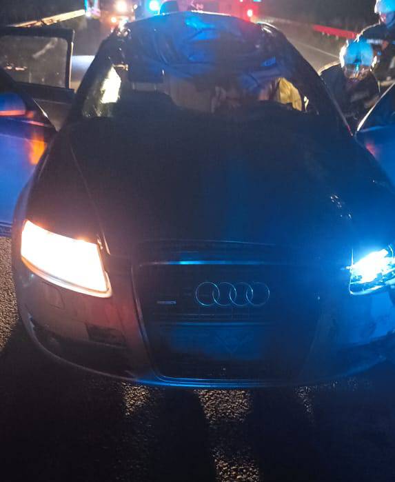 Автівка зіткнулася з конем: у Хусті у ДТП загинув чоловік та тварина