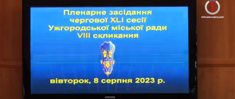 Більше 50 питань: ужгородські депутати про наболіле у місті (ВІДЕО)