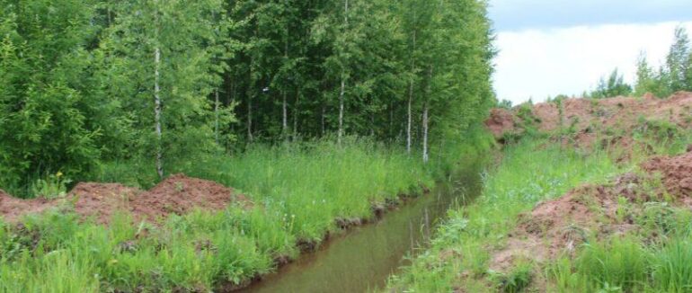 В Ужгороді виявили тіло жінки у каналі