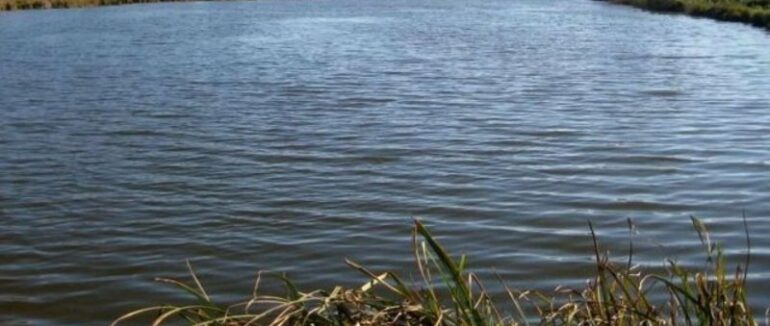 На Тячівщині у ставку потонув чоловік