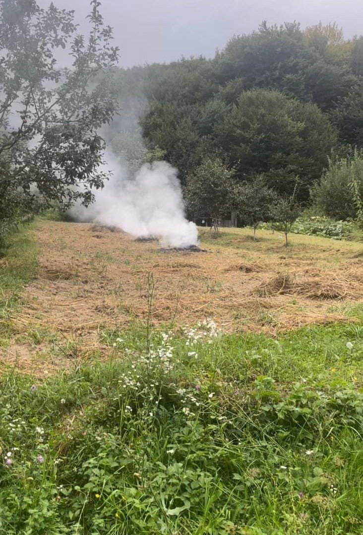 За спалювання сухої трави на Закарпатті вже сплатили штрафи