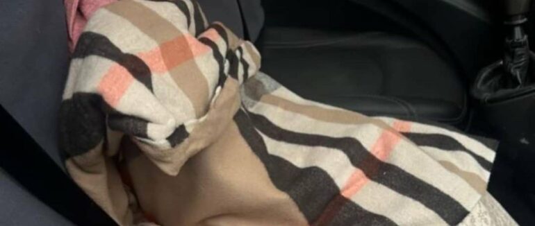 Патрульні виявили 3-річну дівчинку, яка тривалий час самотужки гуляла проїзною частиною дороги