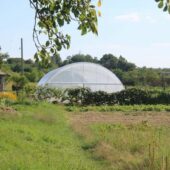 Оновлення в дитячому будинку-інтернаті: в Мукачівському закладі облаштували теплицю (ФОТО)