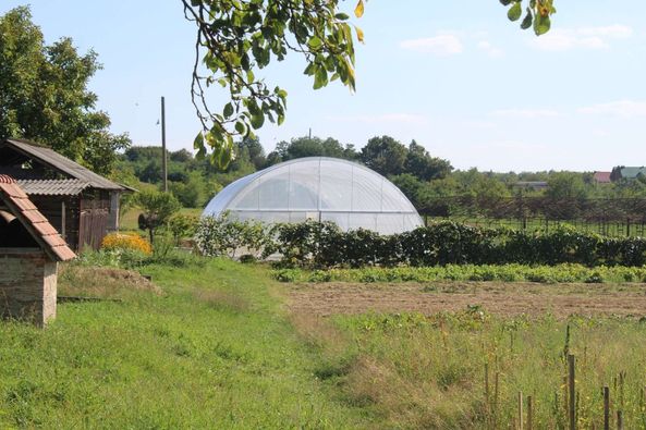 Оновлення в дитячому будинку-інтернаті: в Мукачівському закладі облаштували теплицю (ФОТО)