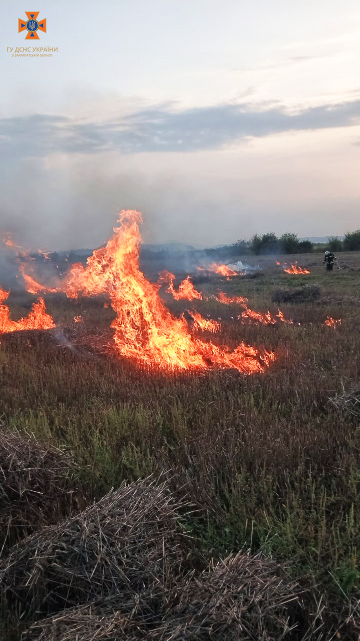 У Хустському районі горіло поле