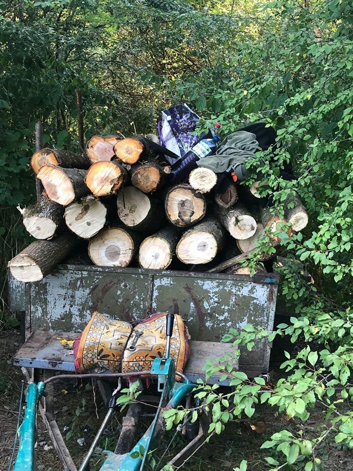 На Хустщині Держекоінспекція виявила незаконну рубку на величезні збитки