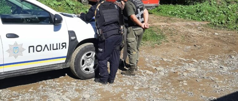 Понад 100 мільйонів гривень збитків: на Закарпатті виявивли незаконну рубку дерев