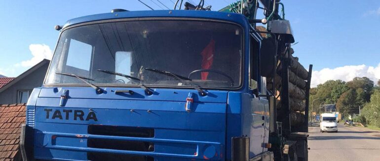 На Мукачівщині поліція вилучила вантажівку з нелегальною деревиною породи «Бук»