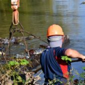 Боржава стала чистіше: на Берегівщині провели чергову екоакцію (ФОТО)