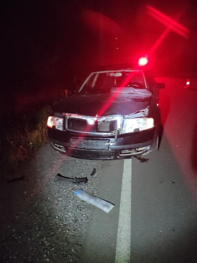 Закарпатські правоохоронці розслідують ДТП, внаслідок якої загинув пішохід