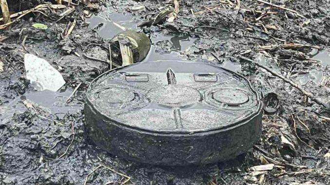 У Берегові під час чистки русла виявили дві міни