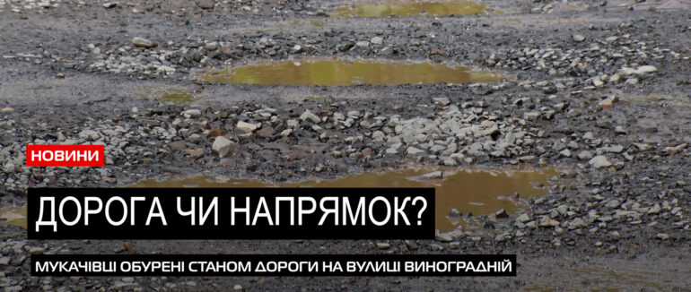 В ямах та болоті по-коліно: мукачівці нарікають на стан вулиці Виноградної (ВІДЕО)