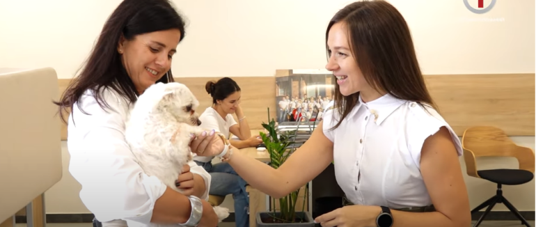 “Кабінет” Олени Ціви: команда телеканалу “Перший Кабельний” в офісі компанії “Ліка Комфорт” (ВІДЕО)