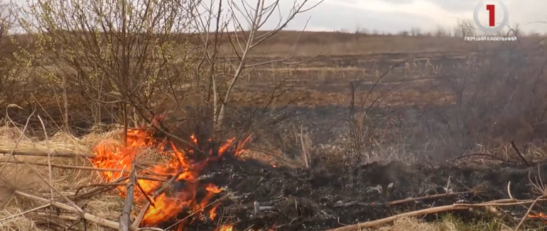Шкода екології та збитки державі: які наслідки спричиняють закарпатці через спалювання сухостою (ВІДЕО)