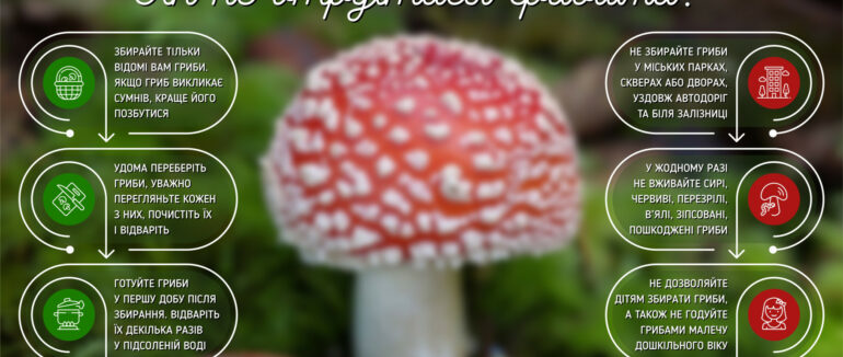Як не стати жертвою отруєння грибами?