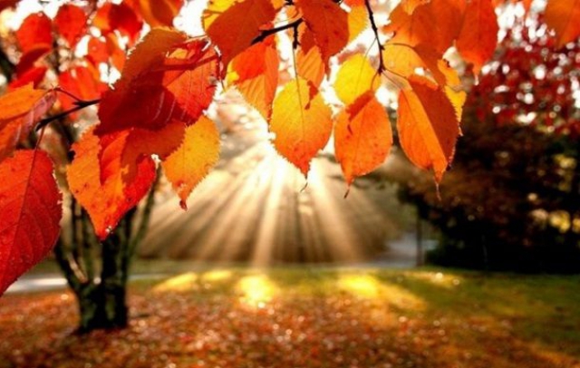 Якою буде погода на Закарпатті цього тижня