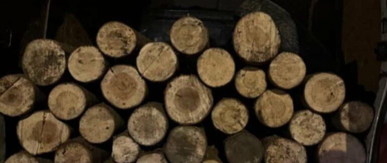 У Нижніх Воротах виявили водія, який вночі незаконно перевозив деревину