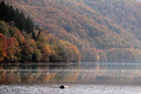 ГО “Chysto.de” ініціює облаштування уловлювача сміття у заказнику “Берег Закарпатського моря”