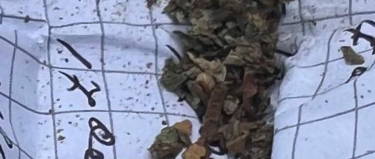 В Ужгороді виявили чоловіка, який мав з собою наркотичні речовини