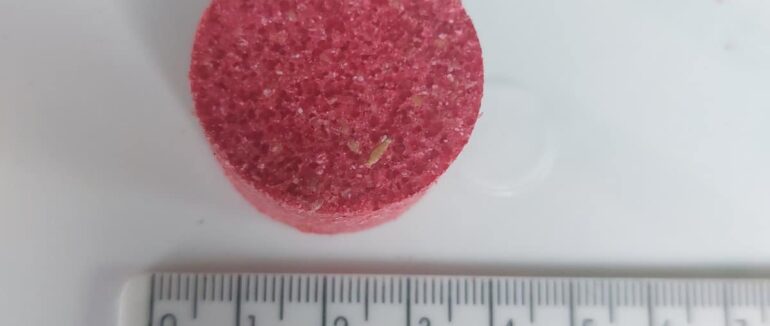 В Ужгороді у скверах та схилах річки труїтимуть щурів