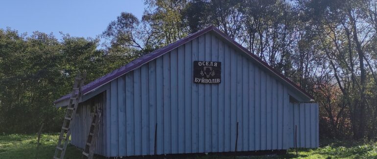 На Закарпатті побудували оселю для буйволів у Долині нарцисів