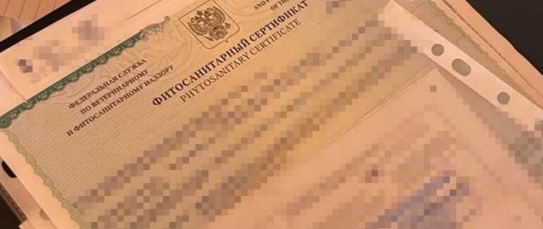 СБУ викрила закарпатського підприємця, який допомагав рф виробляти радіолокаційні станції