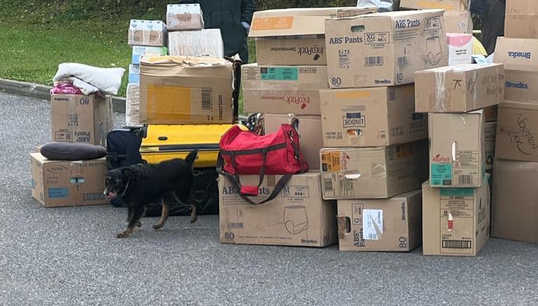 На кордоні зі Словаччиною виявили велику партію наркомістких та психотропних препаратів