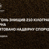 Загорання в надвірній споруді: на Тячівщині знищено чимало зернових