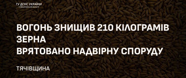 Загорання в надвірній споруді: на Тячівщині знищено чимало зернових