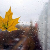 Закарпаття накриє негода: в області очікують дощі