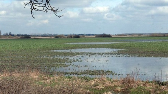На Закарпатті може підтопити дороги та сільськогосподарські землі