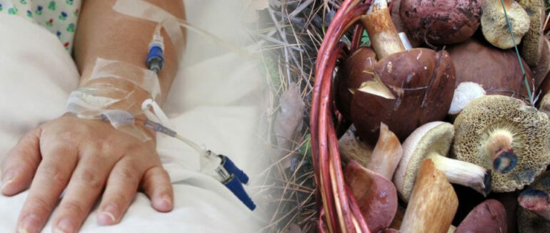 10 людей із отруєннями грибами госпіталізовано на Закарпатті “швидкою” з початку серпня