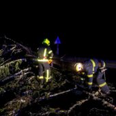 Затоплені підвали і повалені дерева: наслідки негоди на Закарпатті (ФОТО)