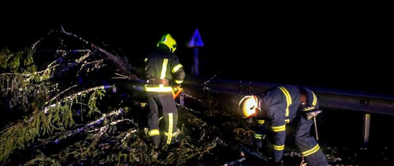 Затоплені підвали і повалені дерева: наслідки негоди на Закарпатті (ФОТО)