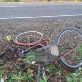 Загиблий велосипедист: на Берегівщині затримали винного водія (ФОТО)