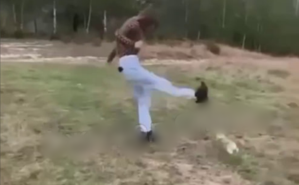 Поліцейські Тячівщини встановили, що дві 13-річні дівчини познущалися з котів