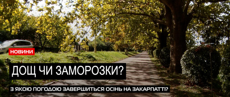 Дощ чи заморозки: із якою погодою Закарпаття завершить осінню пору року (ВІДЕО)