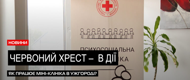 Робота Червоного Хреста: делегація Міжнародної Федерації ЧХ завітала на Закарпаття (ВІДЕО)