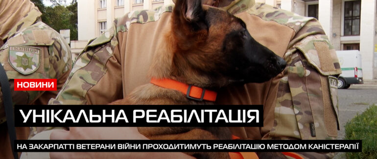 Програму підтримки ветеранів із застосуванням каністерапії запускають на Закарпатті (ВІДЕО)
