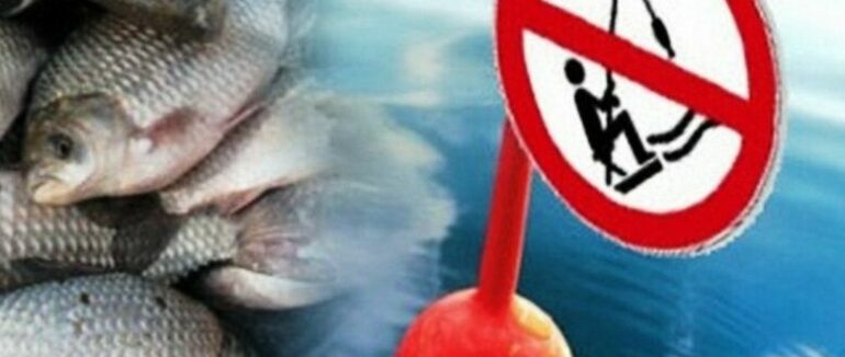 Заборона на вилов риби: з 1 листопада на Закарпатті діятимуть нові правила