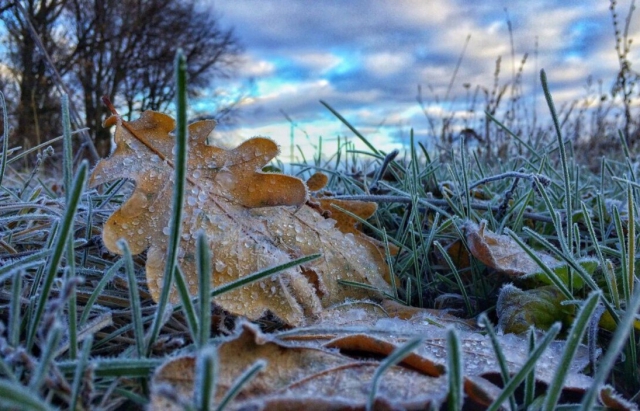 Синоптики оголосили штормове попередження на найближчу ніч у Закарпатській області