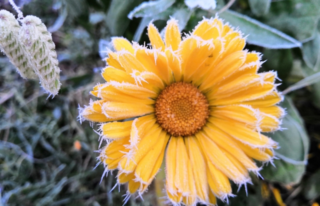 На Закарпатті очікується зниження температури та дощі