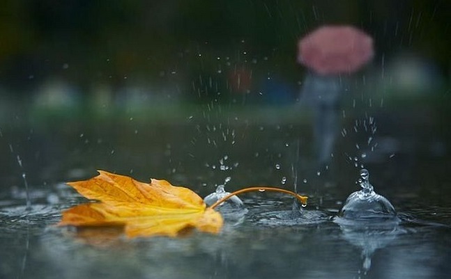 Мокрий сніг, дощі і грози: синоптики розповіли, яку погоду очікувати на вихідних