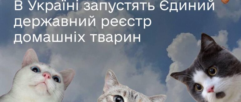 В Україні зʼявиться Єдиний державний реєстр домашніх тварин