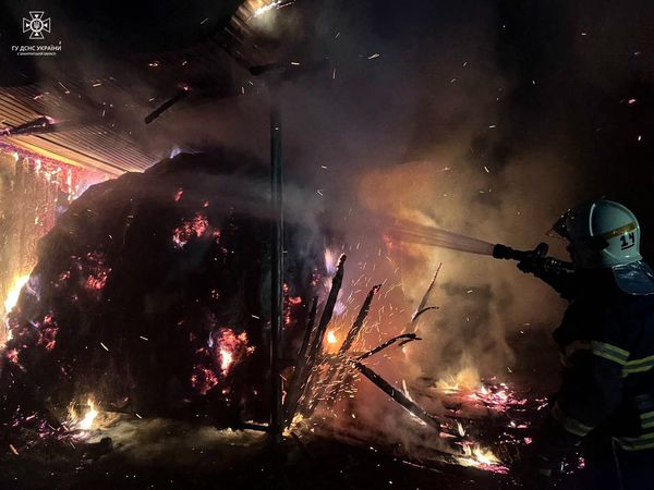 Господарка врятувала худобу: в Хусті горіли два навіси із сіном