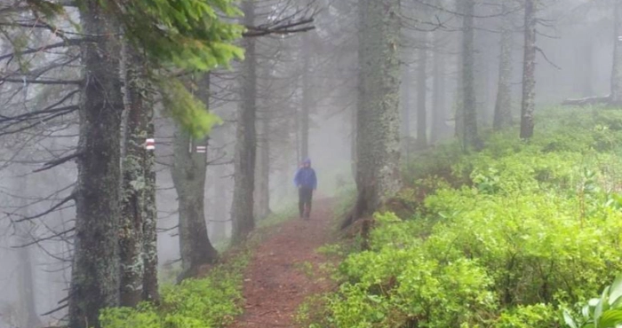 У карпатському лісі декілька годин розшукували лучанина