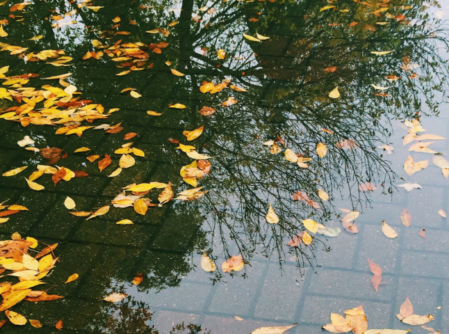 Що очікувати від погоди цими вихідними